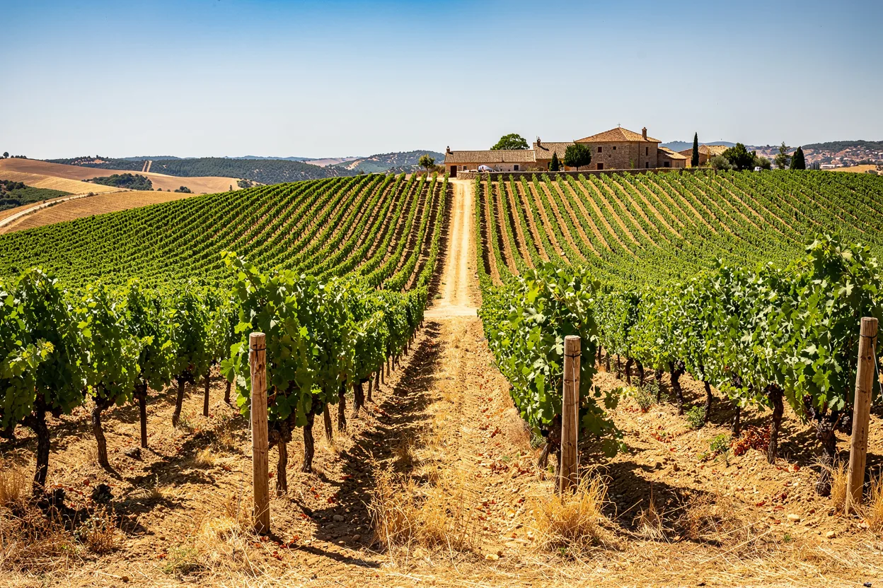 A Romantic Drive Through Europe's Wine Country