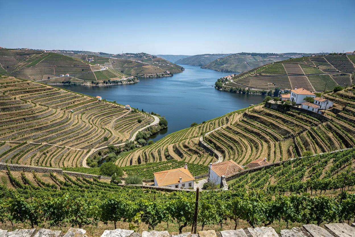 Terraced vineyards along the Douro Valley