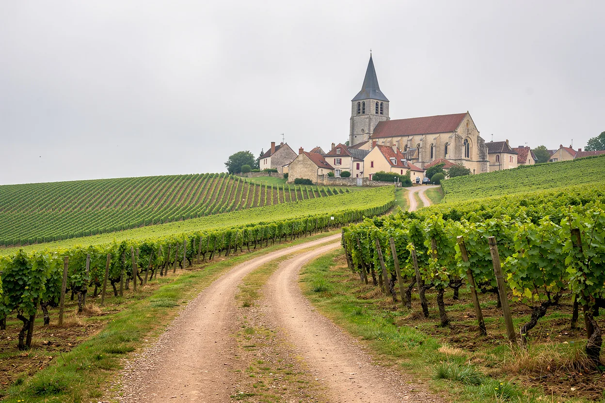 Alsace village vineyard